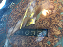 %_tempFileName304%